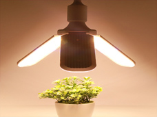 三防漆应用于植物灯，很好的起到防潮、防尘、耐气候作用