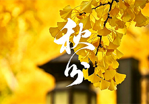 【二十四节气】秋分|昼夜均分，万物归衡